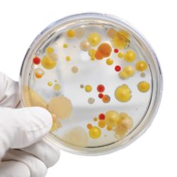 Custom Media Culture