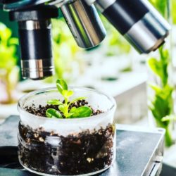 Micro and Macro Plant Nutrients Analysis